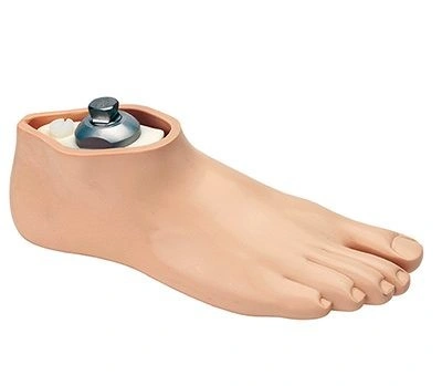 خرید انواع پروتز مچ پا