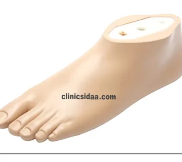 قیمت پروتز پا زیر زانو