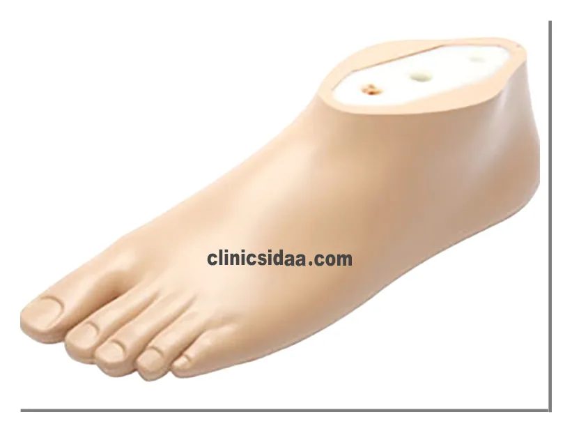 قیمت پروتز پا زیر زانو - 1404 1 قیمت پروتز پا زیر زانو